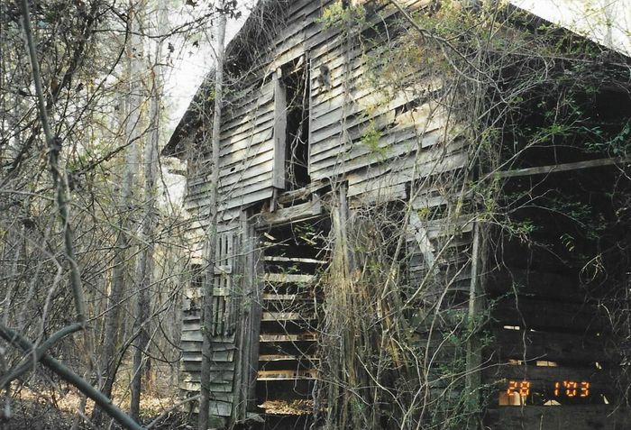 This is what remained of the William Wesley Castleberry estate a few years back.  This property was known to have been occupied in 1859.  Will Castleberry, his wife Nancy Andrews Castleberry and the estate are key characters and property featured in the novel 